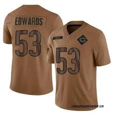 T.J. Edwards Chicago Bears YOUTH KIDS Official NFL Nike Salute to Service Jersey