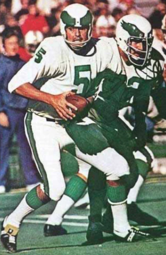 Roman Gabriel Philadelphia Eagles NFL Mitchell & Ness Jersey