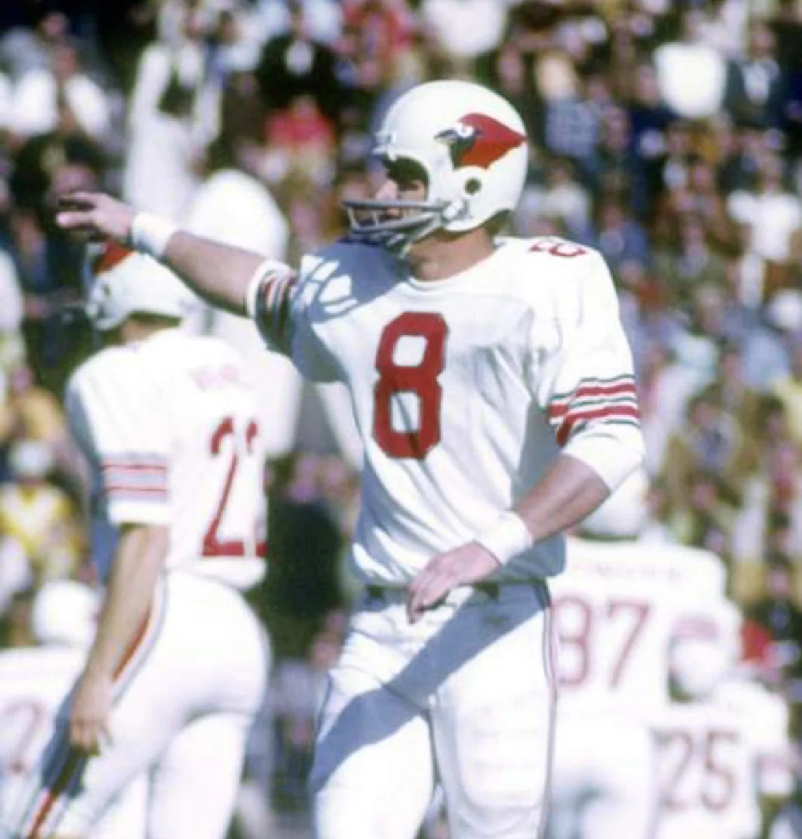 Larry Wilson St. Louis Cardinals NFL Mitchell & Ness Jersey white
