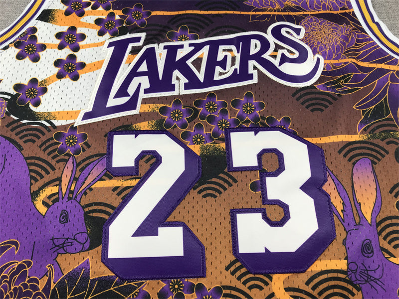Lebron James YOUTH KIDS Los Angeles Lakers Official NBA Mitchell & Ness Jersey