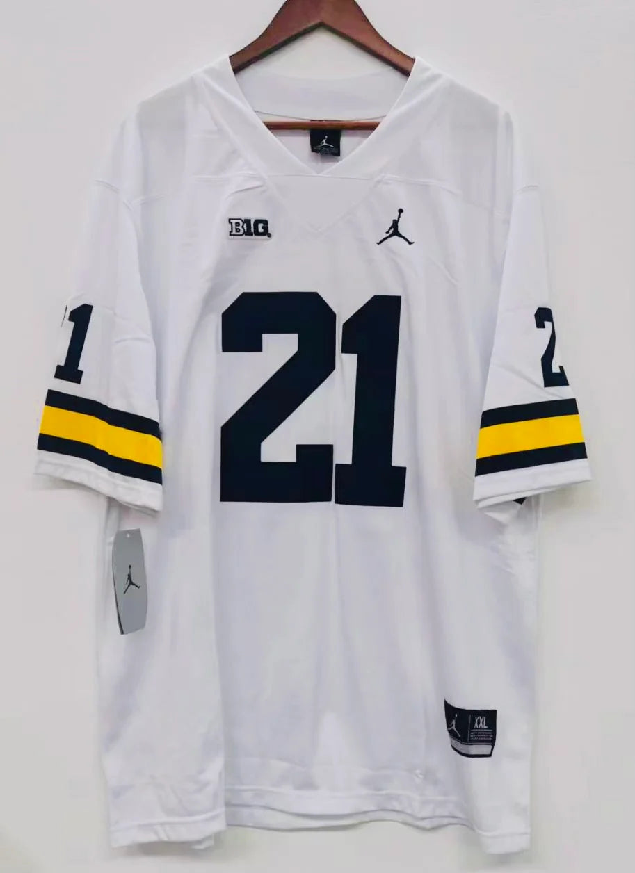 Desmond Howard Michigan Wolverines Jersey white