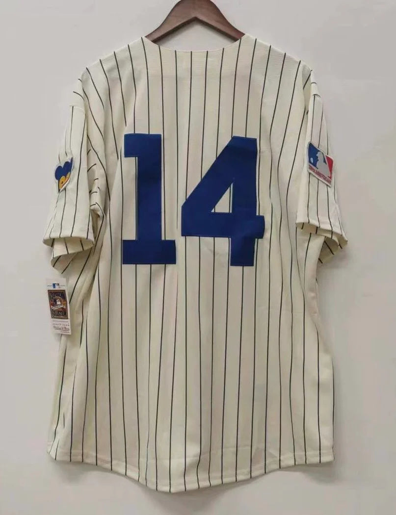 Ernie Banks Chicago Cubs Jersey 1969 Cooperstown Collection Mitchell & Ness