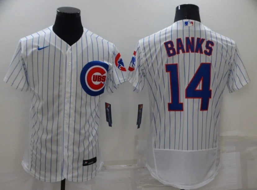 Ernie Banks Chicago Cubs Jersey Nike White