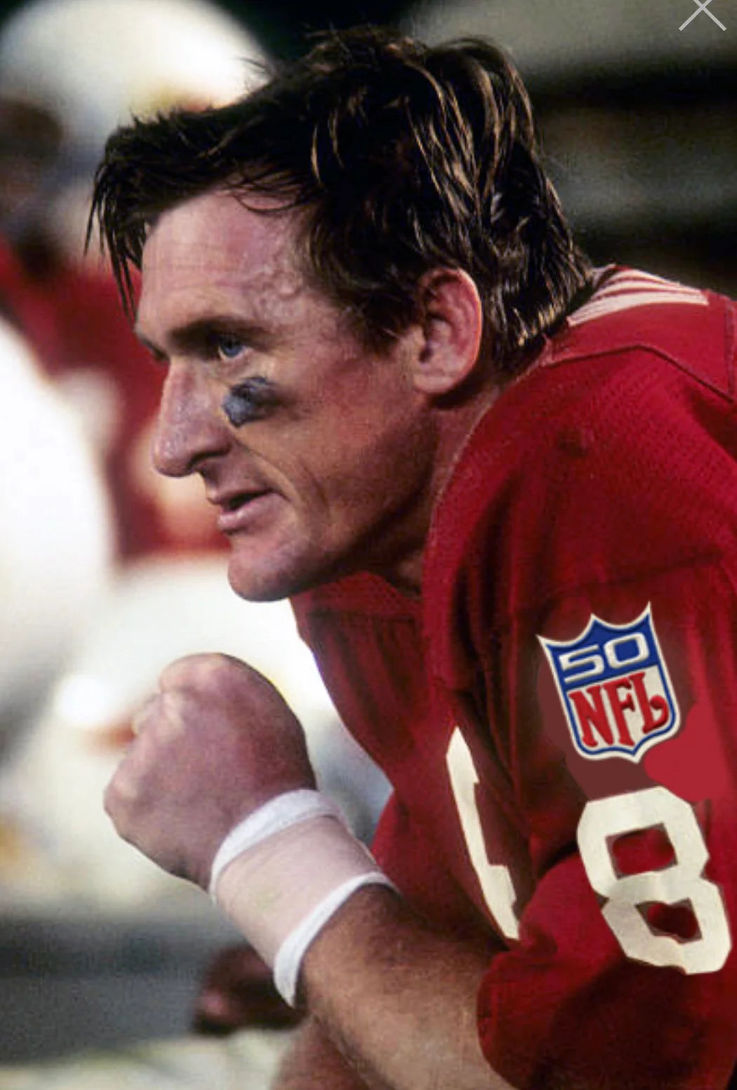 Larry Wilson 1969 St. Louis Cardinals NFL Mitchell & Ness Jersey