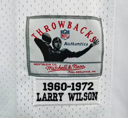 Larry Wilson St. Louis Cardinals NFL Mitchell & Ness Jersey white