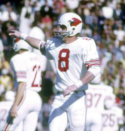 Larry Wilson St. Louis Cardinals NFL Mitchell & Ness Jersey white