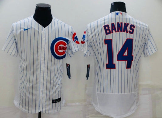 Ernie Banks YOUTH KIDS Chicago Cubs Official MLB Nike jersey