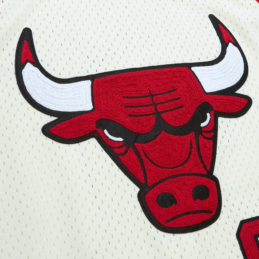 Dennis Rodman YOUTH KIDS Chicago Bulls Mitchell & Ness Jersey cream color