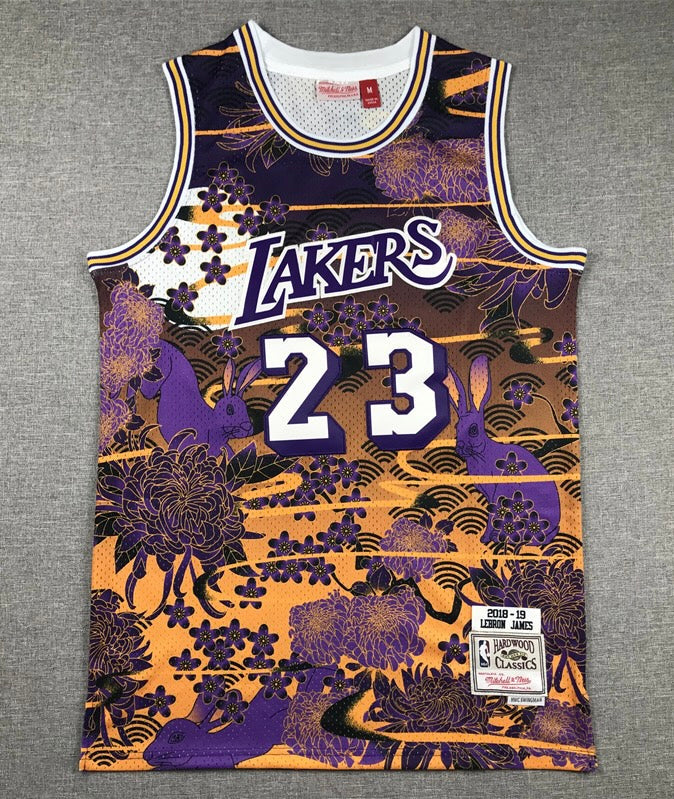Lebron James YOUTH KIDS Los Angeles Lakers Official NBA Mitchell & Ness Jersey