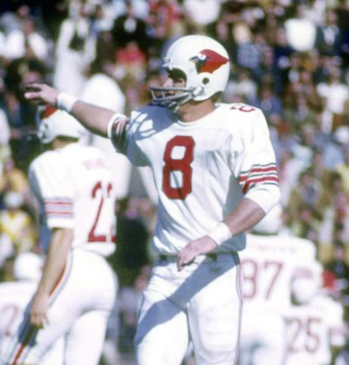 Larry Wilson St. Louis Cardinals NFL Mitchell & Ness Jersey white