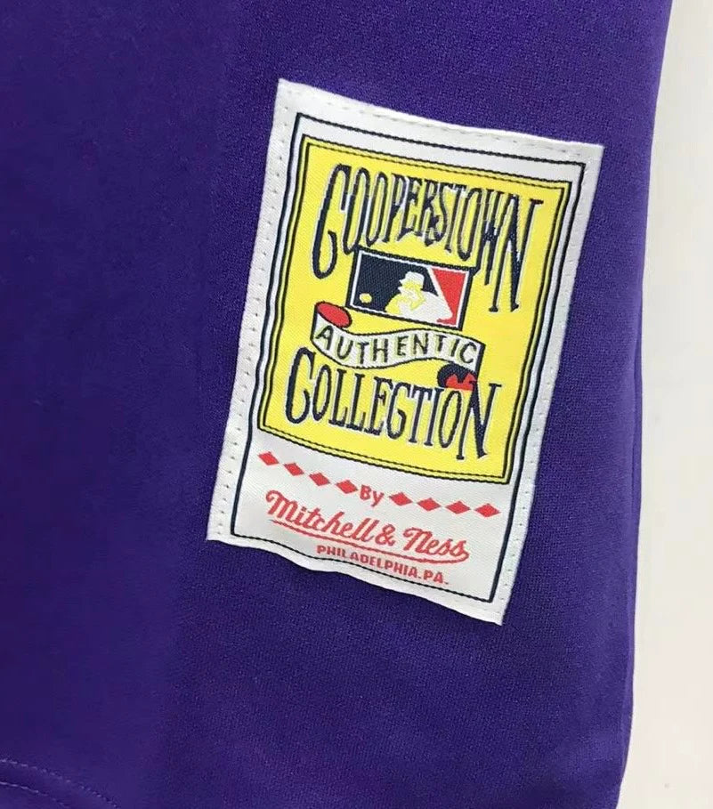 Randy Johnson Arizona Diamondbacks Jersey Mitchell & Ness
