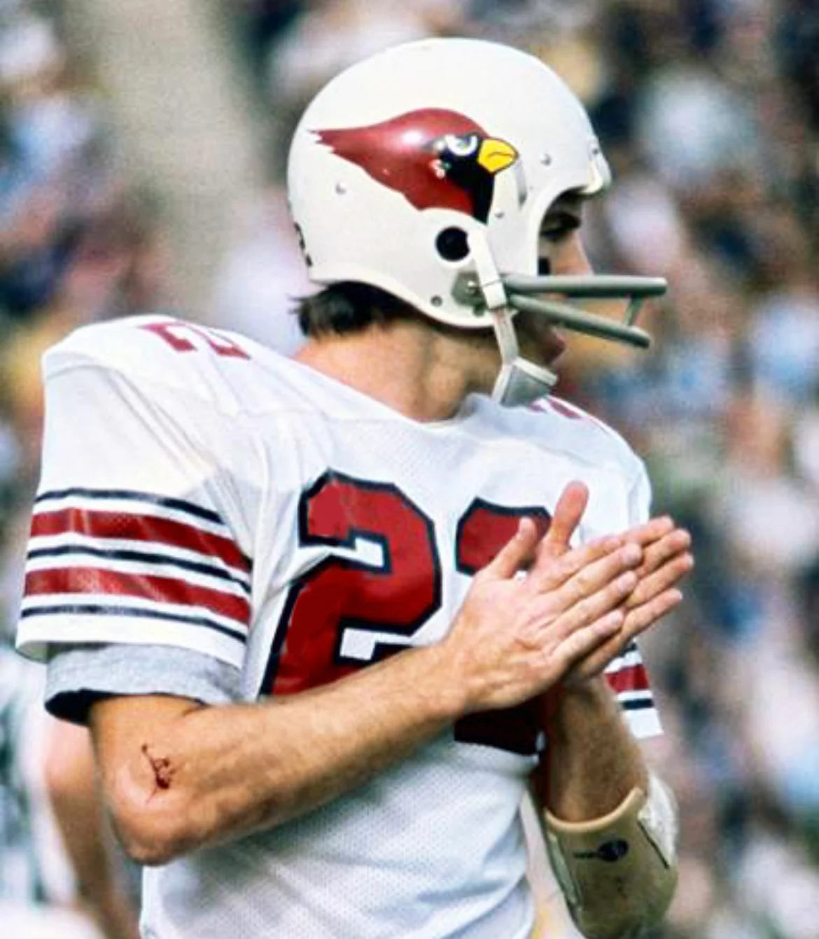 Roger Wehrli St. Louis Cardinals NFL Mitchell & Ness Jersey White